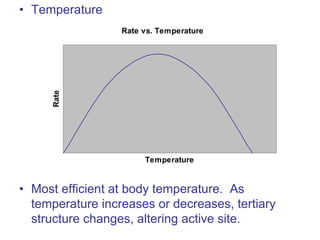 • Temperature
• Most efficient at body temperature. As
temperature increases or decreases, tertiary
structure changes, altering active site.
Rate vs. Temperature
Temperature
Rate
 