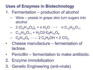 Uses of Enzymes in Biotechnology
1. Fermentation – production of alcohol
– Wine – yeasts in grape skin turn sugars into
alcohol
– 2 (C6H10O5)n + n H2O n C12H22O11
– C12H22O11 + H2O2 C6H12O6
– C6H12O6 2 C2H5OH + 2 CO2
• Cheese manufacture – fermentation of
lactose.
• Penicillin – fermentation to make antibiotic.
2. Enzyme immobilization
3. Genetic Engineering (anti-virals)
 