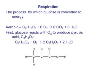 Respiration
The process by which glucose is converted to
energy.
Aerobic – C6H12O6 + 6 O2  6 CO2 + 6 H2O
First, glucose reacts with O2 to produce pyruvic
acid, C3H4O3:
C6H12O6 + O2  2 C3H4O3 + 2 H2O
H C
H
H
C
O
C
O
O H
 