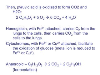 Then, pyruvic acid is oxidized to form CO2 and
H2O:
2 C3H4O3 + 5 O2  6 CO2 + 4 H2O
Hemoglobin, with Fe2+ attached, carries O2 from the
lungs to the cells, then carries CO2 from the
cells to the lungs.
Cytochromes, with Fe3+ or Cu2+ attached, facilitate
the oxidation of glucose (metal ion is reduced to
Fe2+ or Cu+)
Anaerobic – C6H12O6  2 CO2 + 2 C2H5OH
(fermentation)
 