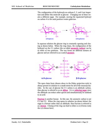 SIU School of Medicine BIOCHEMISTRY Carbohydrate Metabolism
Faculty: E.C. Niederhoffer Problem Unit 4 - Page 12
The conﬁguration of the hydroxyls on carbons 2, 3, and 4 are impor-
tant and deﬁne this molecule as glucose. Changing one of these cre-
ates a different sugar. For example, moving the equatorial hydroxyl
on carbon 4 to the axial position creates galactose.
In aqueous solution the glucose ring is constantly opening and clos-
ing as shown below. When the ring closes, the conﬁguration of the
hydroxyl on the C1 carbon (the so-called anomeric carbon) can be
in either of two positions. The two forms are different isomers of
glucose and are referred to as α and β anomers.
The open chain form (shown above in the Fisher projection style) is
always present in solution to a small extent for all of the monosaccha-
rides. In the case of glucose the C1 carbon is an aldehyde carbon,
thus glucose is referred to as an aldose. It is a reducing sugar since
the aldehyde can reduce other species and simultaneously be oxidized
to an acid.
Fructose is another hexose. In this case, the anomeric carbon is not
C1 but C2. When the ring opens in solution (as shown below) the
sugar is a ketone rather than an aldehyde, thus fructose is referred to
as a ketose. Closing of the ring can lead to either α or β forms (only
the α is shown here).
O
H
HO
H
HO
H
OH
OHH
CH2OH
H
O
OH
H
H
HO
H
OH
OHH
CH2OH
H1
2
3
4
5
6
1
2
3
4
5
6
αααα-D-glucose αααα-D-galactose
OHH
HHO
OHH
OH
H
O
H
CH2OH
1
αααα-D-glucose ββββ-D-glucose
H O
OH
H
OH
H
OHH
OH
CH2OH
H 1
H O
OH
OH
H
H
OHH
OH
CH2OH
H 1
 
