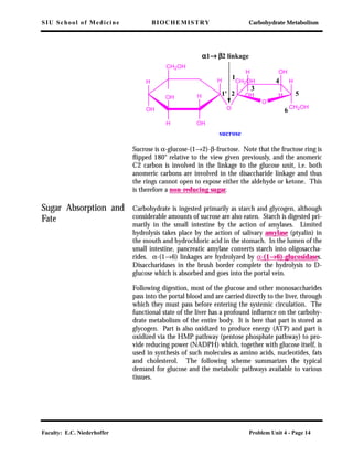 SIU School of Medicine BIOCHEMISTRY Carbohydrate Metabolism
Faculty: E.C. Niederhoffer Problem Unit 4 - Page 14
Sucrose is α-glucose-(1→2)-β-fructose. Note that the fructose ring is
ﬂipped 180° relative to the view given previously, and the anomeric
C2 carbon is involved in the linkage to the glucose unit, i.e. both
anomeric carbons are involved in the disaccharide linkage and thus
the rings cannot open to expose either the aldehyde or ketone. This
is therefore a non-reducing sugar.
Sugar Absorption and
Fate
Carbohydrate is ingested primarily as starch and glycogen, although
considerable amounts of sucrose are also eaten. Starch is digested pri-
marily in the small intestine by the action of amylases. Limited
hydrolysis takes place by the action of salivary amylase (ptyalin) in
the mouth and hydrochloric acid in the stomach. In the lumen of the
small intestine, pancreatic amylase converts starch into oligosaccha-
rides. α-(1→6) linkages are hydrolyzed by α-(1→→→→6)-glucosidases.
Disaccharidases in the brush border complete the hydrolysis to D-
glucose which is absorbed and goes into the portal vein.
Following digestion, most of the glucose and other monosaccharides
pass into the portal blood and are carried directly to the liver, through
which they must pass before entering the systemic circulation. The
functional state of the liver has a profound inﬂuence on the carbohy-
drate metabolism of the entire body. It is here that part is stored as
glycogen. Part is also oxidized to produce energy (ATP) and part is
oxidized via the HMP pathway (pentose phosphate pathway) to pro-
vide reducing power (NADPH) which, together with glucose itself, is
used in synthesis of such molecules as amino acids, nucleotides, fats
and cholesterol. The following scheme summarizes the typical
demand for glucose and the metabolic pathways available to various
tissues.
sucrose
αααα1→→→→ ββββ2 linkage
H
OH
H
O
H
OHH
OH
CH2OH
H
CH2OH
CH2OH
H OH
OH H
O
1'
1
2
3
4
5
6
 