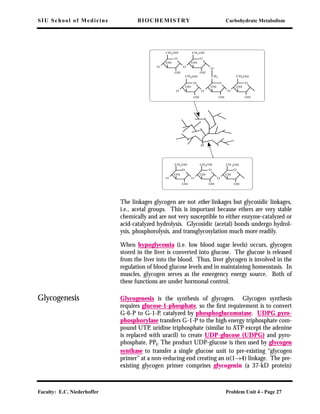 SIU School of Medicine BIOCHEMISTRY Carbohydrate Metabolism
Faculty: E.C. Niederhoffer Problem Unit 4 - Page 27
The linkages glycogen are not ether linkages but glycosidic linkages,
i.e., acetal groups. This is important because ethers are very stable
chemically and are not very susceptible to either enzyme-catalyzed or
acid-catalyzed hydrolysis. Glycosidic (acetal) bonds undergo hydrol-
ysis, phosphorolysis, and transglycosylation much more readily.
When hypoglycemia (i.e. low blood sugar levels) occurs, glycogen
stored in the liver is converted into glucose. The glucose is released
from the liver into the blood. Thus, liver glycogen is involved in the
regulation of blood glucose levels and in maintaining homeostasis. In
muscles, glycogen serves as the emergency energy source. Both of
these functions are under hormonal control.
Glycogenesis Glycogenesis is the synthesis of glycogen. Glycogen synthesis
requires glucose-1-phosphate, so the ﬁrst requirement is to convert
G-6-P to G-1-P, catalyzed by phosphoglucomutase. UDPG pyro-
phosphorylase transfers G-1-P to the high energy triphosphate com-
pound UTP, uridine triphosphate (similar to ATP except the adenine
is replaced with uracil) to create UDP-glucose (UDPG) and pyro-
phosphate, PPi. The product UDP-glucose is then used by glycogen
synthase to transfer a single glucose unit to pre-existing “glycogen
primer” at a non-reducing end creating an α(1→4) linkage. The pre-
existing glycogen primer comprises glycogenin (a 37-kD protein)
O
OH
OH
OO
CH2OH
O
OH
OH
CH 2OHCH2OH
O
OH
OH
O
o
O
OH
OH
OO
CH2OH
O
OH
OH
CH2OHCH2
O
OH
OH
O
O
O
OH
OH
O
CH2OH CH2OH
OH
OH
O
O
 
