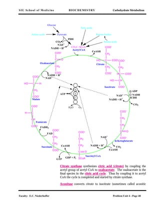 SIU School of Medicine BIOCHEMISTRY Carbohydrate Metabolism
Faculty: E.C. Niederhoffer Problem Unit 4 - Page 40
Citrate synthase synthesizes citric acid (citrate) by coupling the
acetyl group of acetyl CoA to oxaloacetate. The oxaloacetate is the
ﬁnal species in the citric acid cycle. Thus by coupling it to acetyl
CoA the cycle is completed and started by citrate synthase.
Aconitase converts citrate to isocitrate (sometimes called aconitic
COO-
C
CH2
COO-
O
COO-
C
CH2
COO-
HHO
COO-
C
CH
COO-
H
COO-
CH2
CH2
COO-
COO-
CH2
CH2
C
SCoA
O
COO-
CH2
CH2
C
COO-
O
COO-
CH2
HC
CH
COO-
COO-
HO
COO-
CH2
C
CH2
COO-
COO-
HO
CoASH
Oxaloacetate
Malate
Fumarate
Succinate
Succinyl CoA
αααα-Ketoglutarate
Isocitrate
Citrate
NAD+
NADH + H+
FAD
FADH2
CoASH
GTP
GDP + Pi
NADH + H+
NAD+
CoASH
CO2
NAD+
CO2
NADH + H+ ICDH
ADP
NADH
E
ATP T
C
H2O O2
Amino acids
Glucose
Pyruvate
PDH
NAD+
CO2
NADH + H+
Ketone bodies
Fatty acids
Amino acids
Acetyl CoA
CH3C~SCoA
 