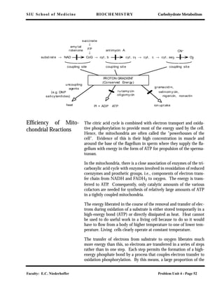 SIU School of Medicine BIOCHEMISTRY Carbohydrate Metabolism
Faculty: E.C. Niederhoffer Problem Unit 4 - Page 52
Efﬁciency of Mito-
chondrial Reactions
The citric acid cycle is combined with electron transport and oxida-
tive phosphorylation to provide most of the energy used by the cell.
Hence, the mitochondria are often called the "powerhouses of the
cell". Evidence of this is their high concentration in muscle and
around the base of the ﬂagellum in sperm where they supply the ﬂa-
gellum with energy in the form of ATP for propulsion of the sperma-
tozoan.
In the mitochondria, there is a close association of enzymes of the tri-
carboxylic acid cycle with enzymes involved in reoxidation of reduced
coenzymes and prosthetic groups, i.e., components of electron trans-
fer chain from NADH and FADH2 to oxygen. The energy is trans-
ferred to ATP. Consequently, only catalytic amounts of the various
cofactors are needed for synthesis of relatively large amounts of ATP
in a tightly coupled mitochondria.
The energy liberated in the course of the removal and transfer of elec-
trons during oxidation of a substrate is either stored temporarily in a
high-energy bond (ATP) or directly dissipated as heat. Heat cannot
be used to do useful work in a living cell because to do so it would
have to ﬂow from a body of higher temperature to one of lower tem-
perature. Living cells clearly operate at constant temperature.
The transfer of electrons from substrate to oxygen liberates much
more energy than this, so electrons are transferred in a series of steps
rather than in one step. Each step permits the formation of a high-
energy phosphate bond by a process that couples electron transfer to
oxidation phosphorylation. By this means, a large proportion of the
subst rat e → NAD CoQ → cyt . b cyt . c1 → cyt. c → cyt . aa3 O2
amy tal
rotenone ant imycin A CN-
succinate
↓
FP
↓
coupling site coupling sit e coupling sit e
PROTON GRADIENT
(Conserved Energy)
uncoupling
agents gramacidin,
valinom y cin,
nigericin, nonactin
ion upt akeheat Pi + ADP ATP
ru tamy cin
oligomy cin
(e.g. DNP
salicylanilides)
 