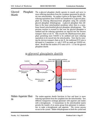 SIU School of Medicine BIOCHEMISTRY Carbohydrate Metabolism
Faculty: E.C. Niederhoffer Problem Unit 4 - Page 57
Glycerol Phosphate
Shuttle
The α-glycerol phosphate shuttle operates in muscle and nerve to
move reducing equivalents from the cytoplasm (generated by glycoly-
sis) into mitochondria. An outline is given in the ﬁgure below. The
reducing equivalents from NADH are transferred to α-glycerol phos-
phate by reducing dihyroxyacetone phosphate using the cytosolic
glycerol phosphate dehydrogenase. α-glycerol phosphate then dif-
fuses to the inner mitochondrial membrane where there is a mem-
brane bound mitochondrial glycerol phosphate dehydrogenase. The
previous reaction is reversed so that now the glycerol phosphate is
oxidized and the reducing equivalents are injected into the electron
transport chain at site II. This recycles the dihydroxyacetone phos-
phate permitting more NADH to be oxidized and more reducing
equivalents to be moved into the mitochondria. Note that by enter-
ing the electron transport chain at site II, the traditional P/O ratio is
decreased to 2 maximum, i.e. only 2 ATP are made per NADH oxi-
dized. Recall that the modern P/O ratio is 6/4 = 1.5 for the glycerol
phosphate shuttle.
Malate-Aspartate Shut-
tle
The malate-aspartate shuttle functions in liver and heart to move
reducing equivalents from the cytoplasm into the mitochondria. Two
different transporters exchange glutamate with aspartate and malate
with α-ketoglutarate. A transaminase in the mitochondrial matrix
permits the transfer of an amino group from glutamate to oxaloace-
tate to make α-ketoglutarate and aspartate. The reverse process
occurs in the cytosol. Malate dehydrogenases in both the cytosol and
Inner mitochondrial membrane
cytoplasmic sideNADH NAD+
phosphate α-glycerol phosphate
dihydroxy acetone
phosphate
cytochrome b
e-
αα--ggllyycceerrooll pphhoosspphhaattee sshhuuttttllee
mitochondrial α−glycerol
phosphate dehydrogenase
reducing equivalents
dihydroxy acetone
cytosolic α-glycerol phosphate dehydrogenase
matrix side
 