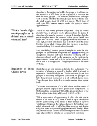 SIU School of Medicine BIOCHEMISTRY Carbohydrate Metabolism
Faculty: E.C. Niederhoffer Problem Unit 4 - Page 68
phosphate to the reaction catalyzed by glucokinase or hexokinase, the
net production of ATP from glucose in glycolysis is one mole less
than that from glycogen. The ability to perform heavy, prolonged
work is directly related to the initial glycogen stores of skeletal mus-
cle, which averages about 1.5 g/100 g of muscle. After 2 hours of
work with 75% maximal oxygen uptake, the glycogen content
approaches zero.
What is the role of glu-
cose-6-phosphatase in
skeletal muscle metab-
olism and liver?
Muscles do not contain glucose-6-phosphatase. They do contain
phosphorylase, so glycogen can be phosphorolyzed to glucose-1-
phosphate, which can be converted to glucose-6-phosphate; but glu-
cose-6-phosphate cannot be converted to free glucose (which then
might leave the cell.) Thus, the glycogen stores in muscle can be
quite high, especially since muscle mass is about 20 times that of the
liver in a normal adult. However, this store can never be used else-
where in the body. It is committed to the muscle.
Liver (and kidney) contains glucose-6-phosphatase; so in the liver,
glycogen can be converted into glucose (in a process involving the
endoplasmic reticulum and vesicle formation and fusing with the
plasma membrane) which can be transported via the cardiovascular
system to other tissues, such as brain and skeletal muscles, where it
can be used as an energy source. The glycogen content of the liver is
50-100 g.
Regulation of Blood
Glucose Levels
Blood glucose can form glycogen in both the liver and muscles. The
formation of glycogen is induced by insulin, which is released in
response to a rise in blood glucose. The formation of glucose from
glycogen is induced by epinephrine (adrenaline) and glucagon, the
latter being released in response to a fall in blood glucose levels.
Thus, glycogen stored in the liver serves to maintain blood glucose
levels.
The central nervous system (CNS), which has a very low content of
glycogen, depends largely on blood glucose as an energy source. In
the human body, approximately 60% of the glucose produced by the
liver is utilized by the brain, which needs 110-145 gm/day.
With a sugar content of approximately 1 g/liter, the total glucose
content of the blood is 5-6 g. Since as much as 3 g of carbohydrate
may be utilized during every minute of heavy exercise in a person
with high aerobic power, the available glucose in the blood can cover
only 2 minutes of work. If half of the blood sugar was used, leaving
0.5 g/liter, severe symptoms of hypoglycemia would develop. How-
ever, skeletal muscles continue to use carbohydrate even when blood
sugar (glucose) falls to critically low levels due to its own stores.
 