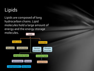 Lipids are composed of long
hydrocarbon chains. Lipid
molecules hold a large amount of
energy and the energy storage
molecules.
Lipids
 