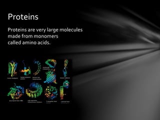 Proteins are very large molecules
made from monomers
called amino acids.
Proteins
 