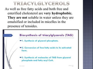 As well as free fatty acids and both free and
esterified cholesterol are very hydrophobic.
They are not soluble in water unless they are
emulsified or included in micelles in the
presence of tensides.
 