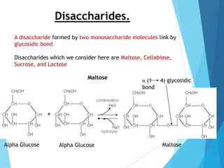Disaccharides.
A disaccharide formed by two monosaccharide molecules link by
glycosidic bond
Disaccharides which we consider here are Maltose, Cellobiose,
Sucrose, and Lactose
Maltose
Alpha Glucose Alpha Glucose Maltose
α (1 4) glycosidic
bond
 