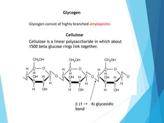 Glycogen
Glycogen consist of highly branched amylopectin.
Cellulose
Cellulose is a linear polysaccharide in which about
1500 beta glucose rings link together.
β (1 4) glycosidic
bond
 