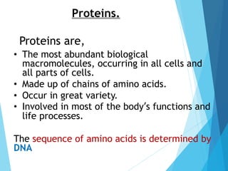 Proteins.
• The most abundant biological
macromolecules, occurring in all cells and
all parts of cells.
• Made up of chains of amino acids.
• Occur in great variety.
• Involved in most of the body’s functions and
life processes.
The sequence of amino acids is determined by
DNA
Proteins are,
 