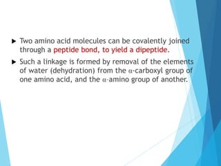  Two amino acid molecules can be covalently joined
through a peptide bond, to yield a dipeptide.
 Such a linkage is formed by removal of the elements
of water (dehydration) from the α-carboxyl group of
one amino acid, and the α–amino group of another.
 