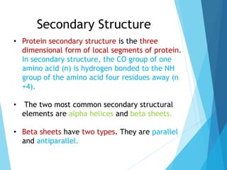 Secondary Structure
• Protein secondary structure is the three
dimensional form of local segments of protein.
In secondary structure, the CO group of one
amino acid (n) is hydrogen bonded to the NH
group of the amino acid four residues away (n
+4).
• The two most common secondary structural
elements are alpha helices and beta sheets.
• Beta sheets have two types. They are parallel
and antiparallel.
 