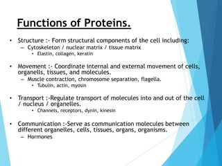 Functions of Proteins.
• Structure :- Form structural components of the cell including:
– Cytoskeleton / nuclear matrix / tissue matrix
• Elastin, collagen, keratin
• Movement :- Coordinate internal and external movement of cells,
organells, tissues, and molecules.
– Muscle contraction, chromosome separation, flagella.
• Tubulin, actin, myosin
• Transport :-Regulate transport of molecules into and out of the cell
/ nucleus / organelles.
• Channels, receptors, dynin, kinesin
• Communication :-Serve as communication molecules between
different organelles, cells, tissues, organs, organisms.
– Hormones
 