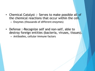 • Chemical Catalyst :– Serves to make possible all of
the chemical reactions that occur within the cell.
– Enzymes (thousands of different enzymes)
• Defense :-Recognize self and non-self, able to
destroy foreign entities (bacteria, viruses, tissues).
– Antibodies, cellular immune factors
 