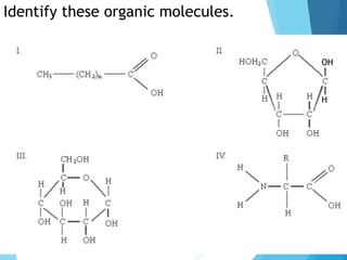 Identify these organic molecules.
OH
H
 