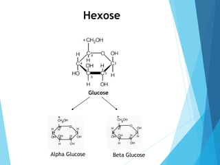 Hexose
Glucose
Alpha Glucose Beta Glucose
 