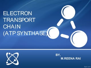 ELECTRON
TRANSPORT
CHAIN
(ATPSYNTHASE)
BY,
M.REENA RAI
 