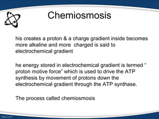 Chemiosmosis
his creates a proton & a charge gradient inside becomes
more alkaline and more charged is said to
electrochemical gradient
he energy stored in electrochemical gradient is termed “
proton motive force” which is used to drive the ATP
synthesis by movement of protons down the
electrochemical gradient through the ATP synthase.
The process called chemiosmosis
 