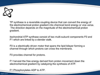 TP synthase is a reversible coupling device that can convert the energy of
the electrochemical proton gradient into chemical bond energy or vice versa.
The direction depends on the magnitude of the electrochemical proton
gradient.
itochondrial ATP synthase consist of two multi-subunit components F0 and
F1 which are linked by a slender stalk.
F0 is a electrically driven motor that spans the lipid bilayer forming a
channel through which protons can cross the membrane.
F0 provides channel for protons.
F1 harvest the free energy derived from proton movement down the
electrochemical gradient by catalyzing the synthesis of ATP.
F1 Phosphorylates ADP to ATP.
 