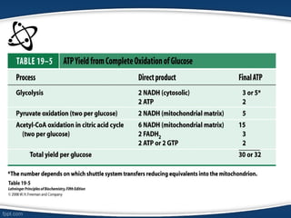 Biochemistry Electron transport chain