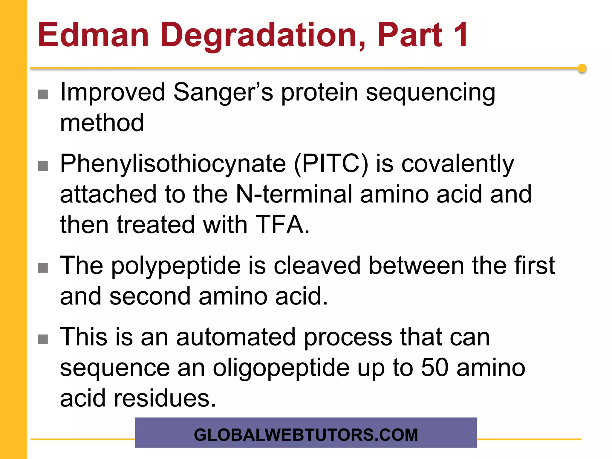 Edman Degradation, Part 1
 Improved Sanger’s protein sequencing
method
 Phenylisothiocynate (PITC) is covalently
attached to the N-terminal amino acid and
then treated with TFA.
 The polypeptide is cleaved between the first
and second amino acid.
 This is an automated process that can
sequence an oligopeptide up to 50 amino
acid residues.
GLOBALWEBTUTORS.COM
 