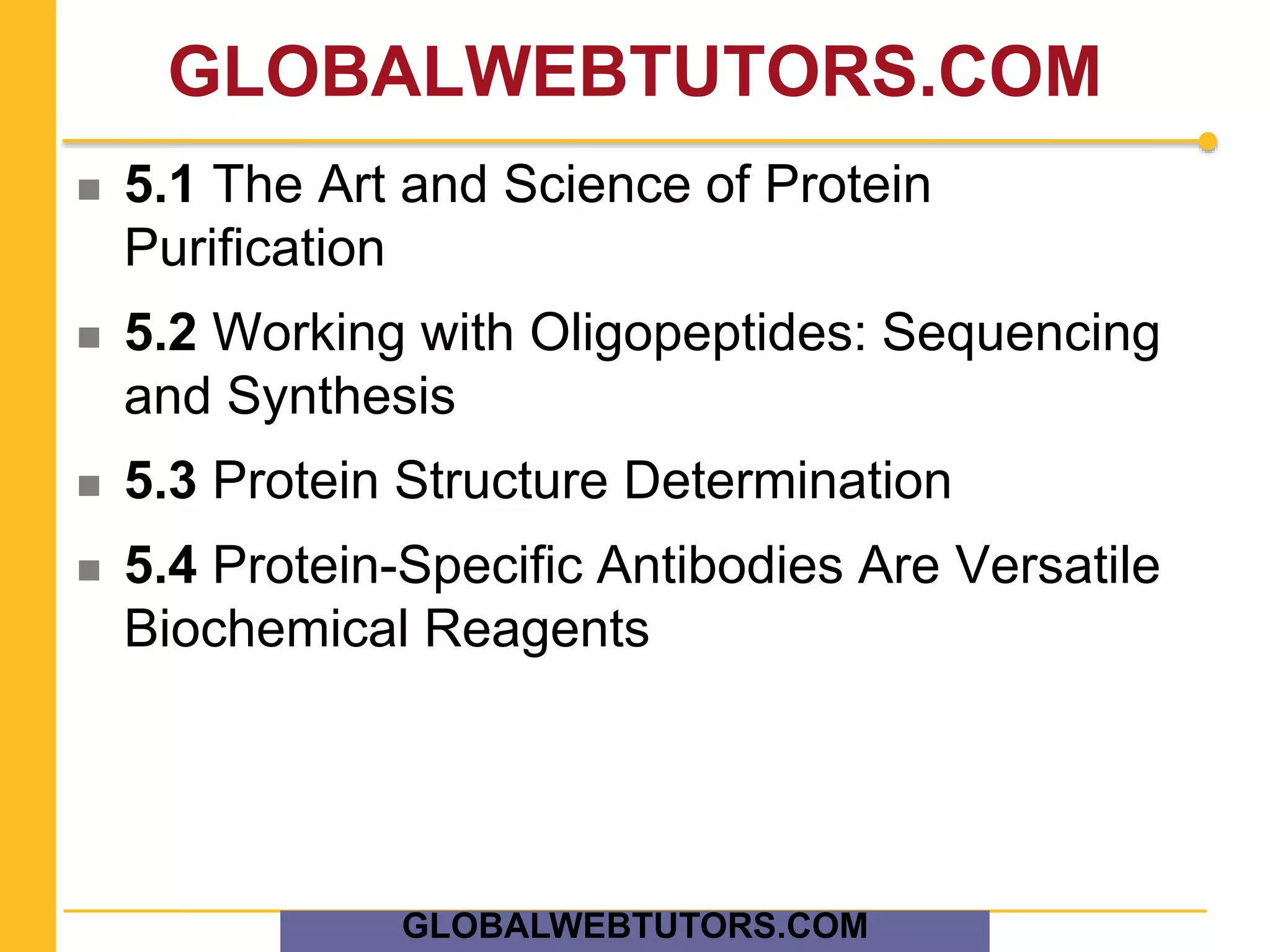 GLOBALWEBTUTORS.COM
 5.1 The Art and Science of Protein
Purification
 5.2 Working with Oligopeptides: Sequencing
and Synthesis
 5.3 Protein Structure Determination
 5.4 Protein-Specific Antibodies Are Versatile
Biochemical Reagents
GLOBALWEBTUTORS.COM
 