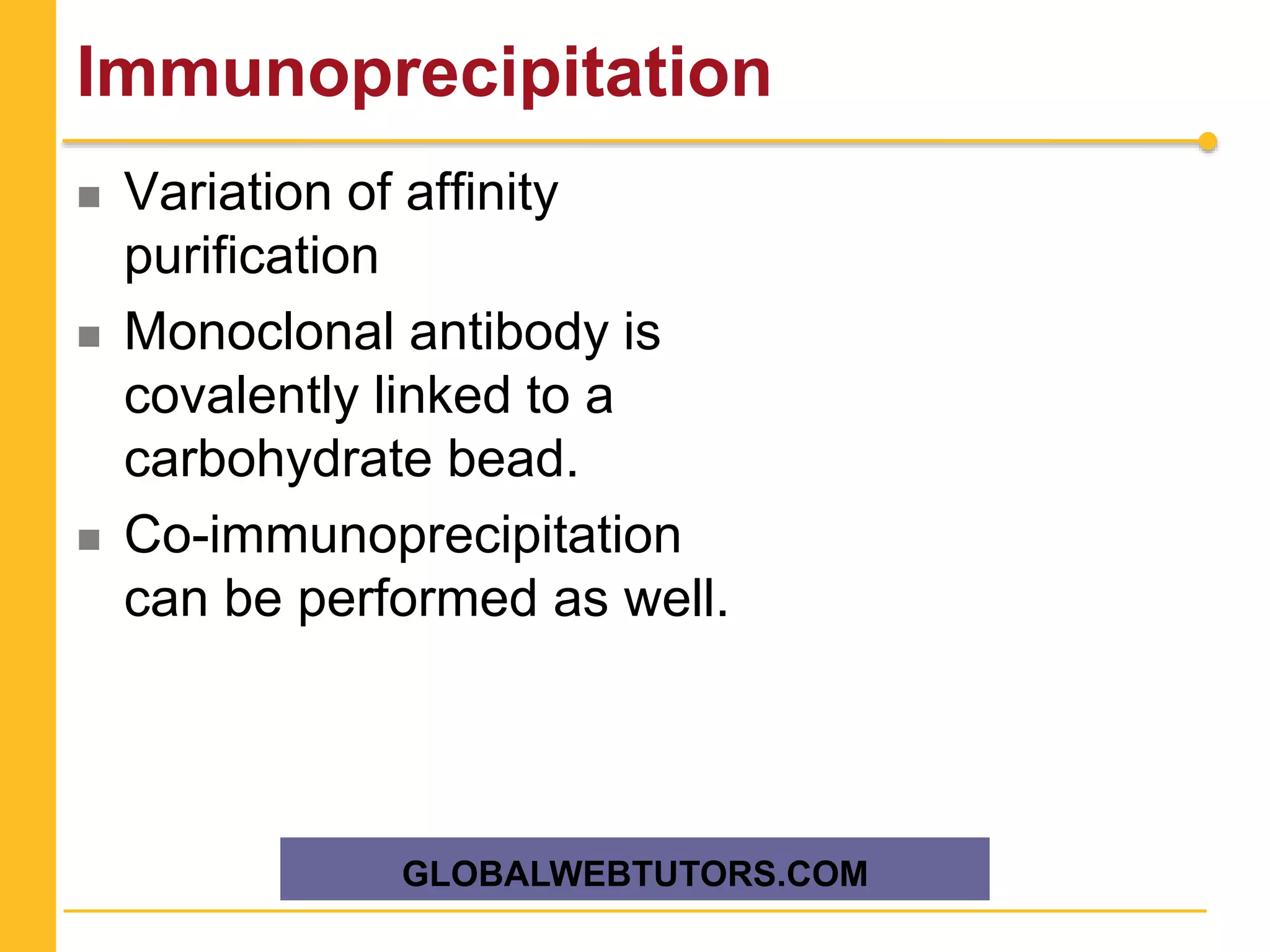 Immunoprecipitation
 Variation of affinity
purification
 Monoclonal antibody is
covalently linked to a
carbohydrate bead.
 Co-immunoprecipitation
can be performed as well.
GLOBALWEBTUTORS.COM
 