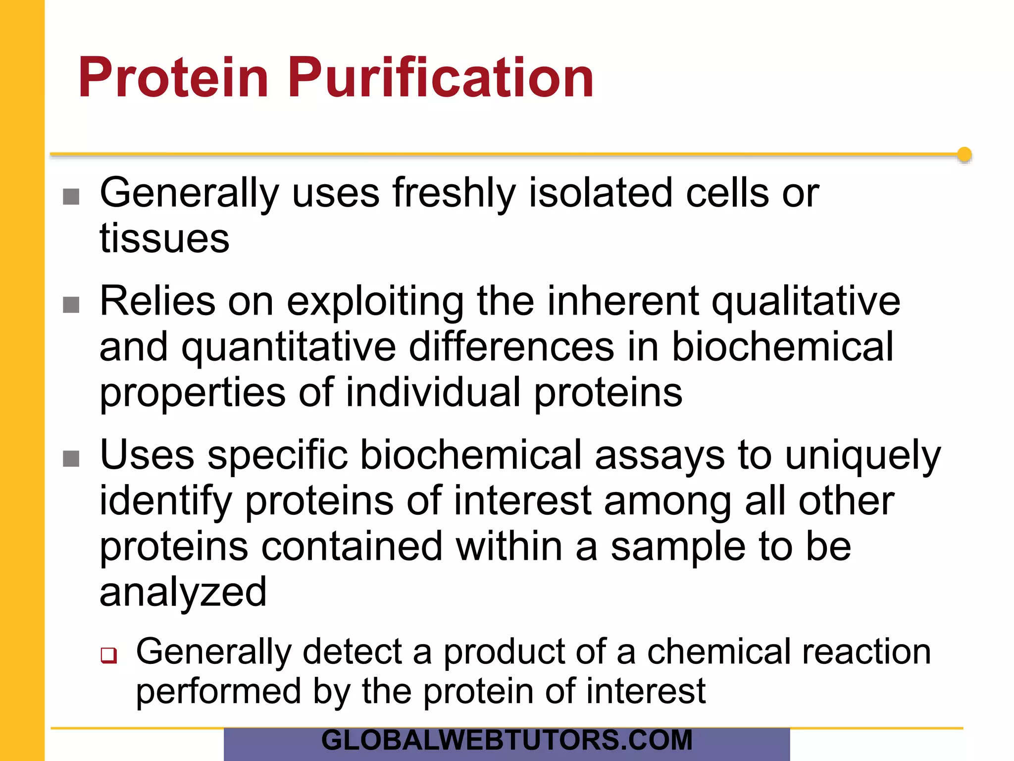Protein Purification
 Generally uses freshly isolated cells or
tissues
 Relies on exploiting the inherent qualitative
and quantitative differences in biochemical
properties of individual proteins
 Uses specific biochemical assays to uniquely
identify proteins of interest among all other
proteins contained within a sample to be
analyzed
 Generally detect a product of a chemical reaction
performed by the protein of interest
GLOBALWEBTUTORS.COM
 