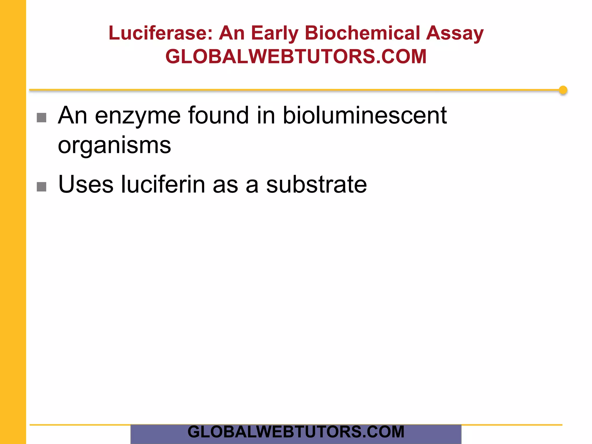 Luciferase: An Early Biochemical Assay
GLOBALWEBTUTORS.COM
 An enzyme found in bioluminescent
organisms
 Uses luciferin as a substrate
GLOBALWEBTUTORS.COM
 