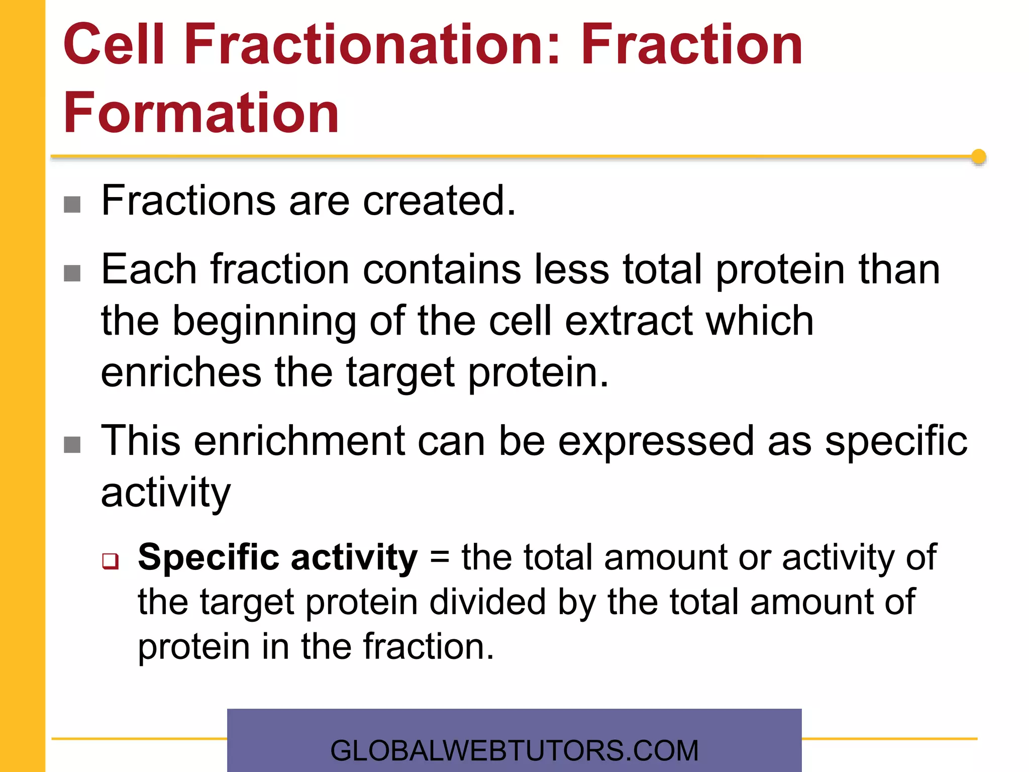 Cell Fractionation: Fraction
Formation
 Fractions are created.
 Each fraction contains less total protein than
the beginning of the cell extract which
enriches the target protein.
 This enrichment can be expressed as specific
activity
 Specific activity = the total amount or activity of
the target protein divided by the total amount of
protein in the fraction.
GLOBALWEBTUTORS.COM
 