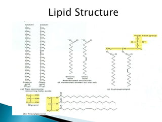 Introduction to Biochemistry and Clinical Pathology | PPTX