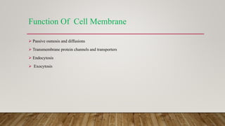 Function Of Cell Membrane
 Passive osmosis and diffusions
 Transmembrane protein channels and transporters
 Endocytosis
 Exocytosis
 