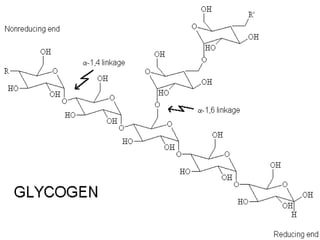Structure of Glycogen
 