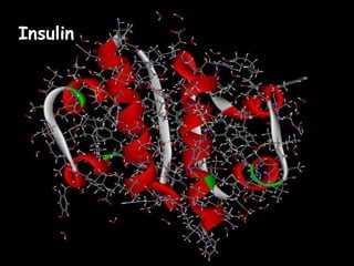 Insulin
 