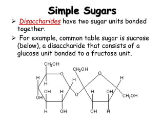 Simple Sugars
 Disaccharides have two sugar units bonded
together.
 For example, common table sugar is sucrose
(below), a disaccharide that consists of a
glucose unit bonded to a fructose unit.
 