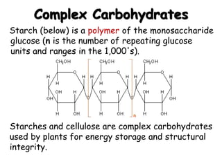 Complex Carbohydrates
Starch (below) is a polymer of the monosaccharide
glucose (n is the number of repeating glucose
units and ranges in the 1,000's).
Starches and cellulose are complex carbohydrates
used by plants for energy storage and structural
integrity.
 