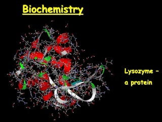Biochemistry
Lysozyme –
a protein
 