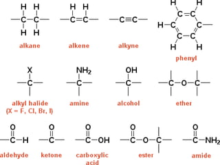 biochemistry.ppt.Definitions of the biochem | PPT