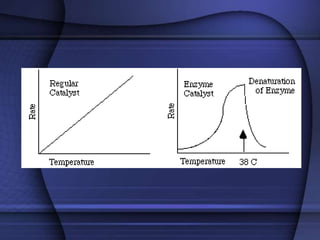 biochemistry.ppt.Definitions of the biochem | PPT