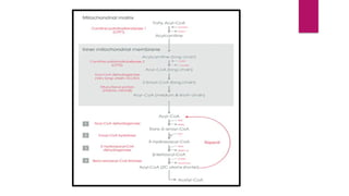 Biosynthesis of fatty acids and beta oxidation | PPTX