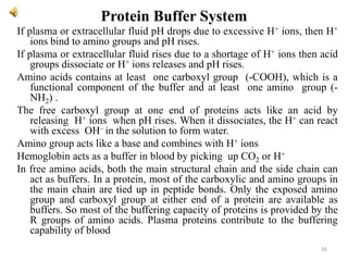 Protein Buffer System
If plasma or extracellular fluid pH drops due to excessive H+ ions, then H+
ions bind to amino groups and pH rises.
If plasma or extracellular fluid rises due to a shortage of H+ ions then acid
groups dissociate or H+ ions releases and pH rises.
Amino acids contains at least one carboxyl group (-COOH), which is a
functional component of the buffer and at least one amino group (-
NH2) .
The free carboxyl group at one end of proteins acts like an acid by
releasing H+ ions when pH rises. When it dissociates, the H+ can react
with excess OH– in the solution to form water.
Amino group acts like a base and combines with H+ ions
Hemoglobin acts as a buffer in blood by picking up CO2 or H+
In free amino acids, both the main structural chain and the side chain can
act as buffers. In a protein, most of the carboxylic and amino groups in
the main chain are tied up in peptide bonds. Only the exposed amino
group and carboxyl group at either end of a protein are available as
buffers. So most of the buffering capacity of proteins is provided by the
R groups of amino acids. Plasma proteins contribute to the buffering
capability of blood
16
 