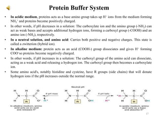 Protein Buffer System
• In acidic medium, proteins acts as a base amino group takes up H+ ions from the medium forming
NH3
+ and proteins become positively charged.
• In other words, if pH decreases in a solution: The carboxylate ion and the amino group (-NH2) can
act as weak bases and accepts additional hydrogen ions, forming a carboxyl group (-COOH) and an
amino ion (-NH3), respectively.
• In a neutral solution, and amino acid: Carries both positive and negative charges. This state is
called a zwitterion (hybrid ion).
• In alkaline medium: protein acts as an acid (COOH-) group dissociates and gives H+ forming
COO–so proteins become negatively charged.
• In other words, if pH increases in a solution: The carboxyl group of the amino acid can dissociate,
acting as a weak acid and releasing a hydrogen ion. The carboxyl group then becomes a carboxylate
ion.
• Some amino acid's, notably histidine and cysteine, have R groups (side chains) that will donate
hydrogen ions if the pH increases outside the normal range.
17
 