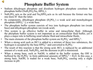 Phosphate Buffer System
• Sodium dihydrogen phosphate and disodium hydrogen phosphate constitute the
phosphate buffer (NaH2PO4/Na2 HPO4 ).
• NaH2PO4 acts as the acid and Na2HPO4 acts as its salt because the former one has
one more H+ than the latter.
• Its components, dihydrogen phosphate (H2PO4
–) a weak acid and monohydrogen
phosphate (HPO4
2 –), a weak base.
• The phosphate buffer system consists of two ions hydrogen phosphate ion (weak
base) and dihydrogen phosphate ion (weak acid).
• This system is an effective buffer in urine and intracellular fluid. Although
the phosphate buffer system is not important as an extracellular fluid buffer, yet it
plays a major role in buffering renal tubular fluid and intracellular fluids.
• The main elements of the phosphate buffer system are H2PO4
– and HPO4
2–.
• When a strong acid such as HCl is added to a mixture of these two substances, the
hydrogen is accepted by the base HPO4
2– and converted to H2PO4
–
• The result of this reaction is that the strong acid, HCl, is replaced by an additional
amount of a weak acid, NaH2PO4, and the decrease in pH is minimized.
• When a strong base, such as NaOH, is added to the buffer system, the OH– is
buffered by the H2PO4
– to form additional amounts of HPO4
2– + H2O. In this case, a
strong base, NaOH, is traded for a weak base, NaH2PO4, causing only a slight
increase in pH.
18
 