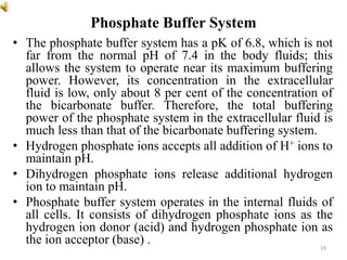 Phosphate Buffer System
• The phosphate buffer system has a pK of 6.8, which is not
far from the normal pH of 7.4 in the body fluids; this
allows the system to operate near its maximum buffering
power. However, its concentration in the extracellular
fluid is low, only about 8 per cent of the concentration of
the bicarbonate buffer. Therefore, the total buffering
power of the phosphate system in the extracellular fluid is
much less than that of the bicarbonate buffering system.
• Hydrogen phosphate ions accepts all addition of H+ ions to
maintain pH.
• Dihydrogen phosphate ions release additional hydrogen
ion to maintain pH.
• Phosphate buffer system operates in the internal fluids of
all cells. It consists of dihydrogen phosphate ions as the
hydrogen ion donor (acid) and hydrogen phosphate ion as
the ion acceptor (base) . 19
 