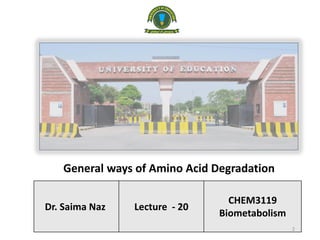 Dr. Saima Naz Lecture - 20
CHEM3119
Biometabolism
General ways of Amino Acid Degradation
2
 
