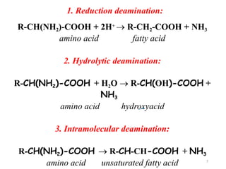 1. Reduction deamination:
R-CH(NH2)-COOH + 2H+  R-CH2-COOH + NH3
amino acid fatty acid
2. Hydrolytic deamination:
R-CH(NH2)-COOH + H2O  R-CH(OH)-COOH +
NH3
amino acid hydroxyacid
3. Intramolecular deamination:
R-CH(NH2)-COOH  R-CH-CH-COOH + NH3
amino acid unsaturated fatty acid 7
 