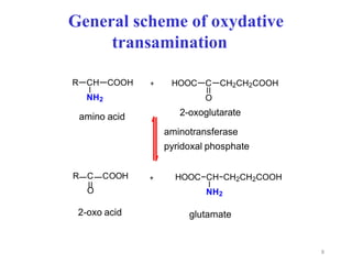 General scheme of oxydative
transamination
HOOC C CH2CH2COOH
O
+
R CH COOH
NH2
aminokyselina 2-oxoglutarát
HOOC CH CH2CH2COOH
NH2
+
R C COOH
O
glutamát
2-oxokyselina
aminotransferasa
pyridoxalfosfát
amino acid
2-oxo acid
2-oxoglutarate
glutamate
aminotransferase
pyridoxal phosphate
8
 